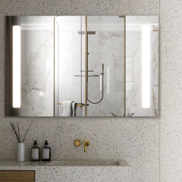 Orren Ellis Yuvika Surface Mount Frameless 2 Door Medicine LED